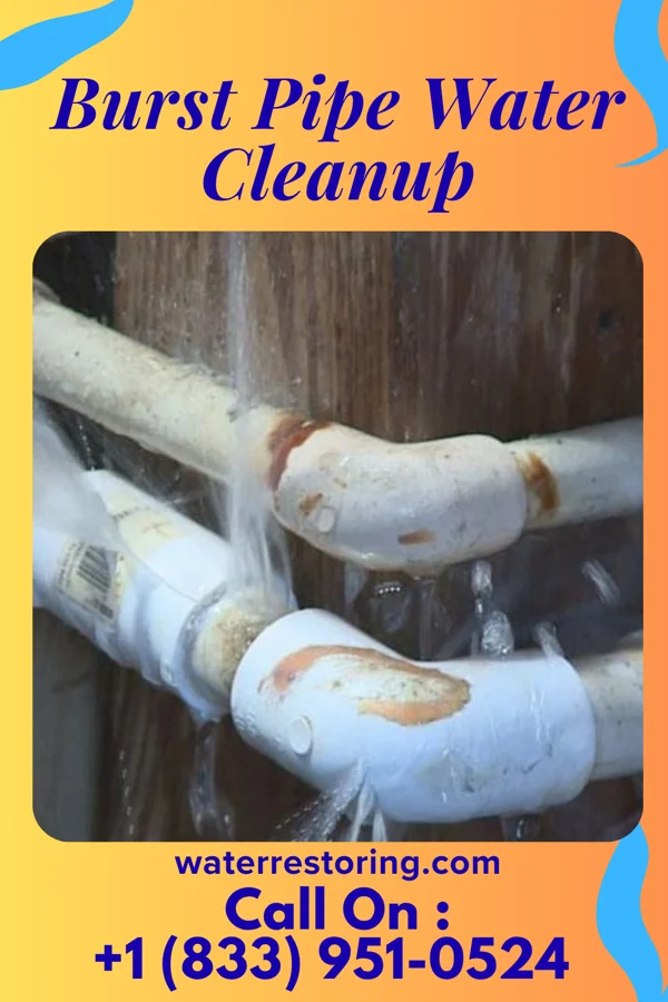 Burst Pipe Water Cleanup in Ridgeside, TN