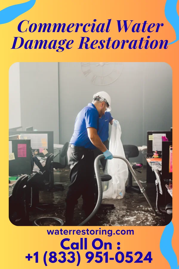Commercial Water Damage Restoration in Ridgeside, TN