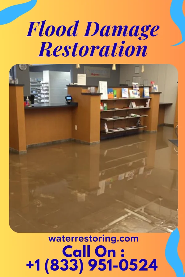 Flood Damage Restoration in Ridgeside, TN