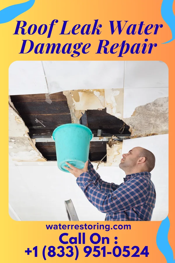 Roof Leak Water Damage Repair in Ridgeside, TN