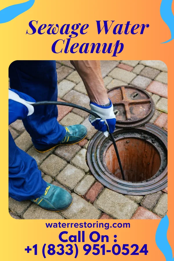 Sewage Water Cleanup in Ridgeside, TN