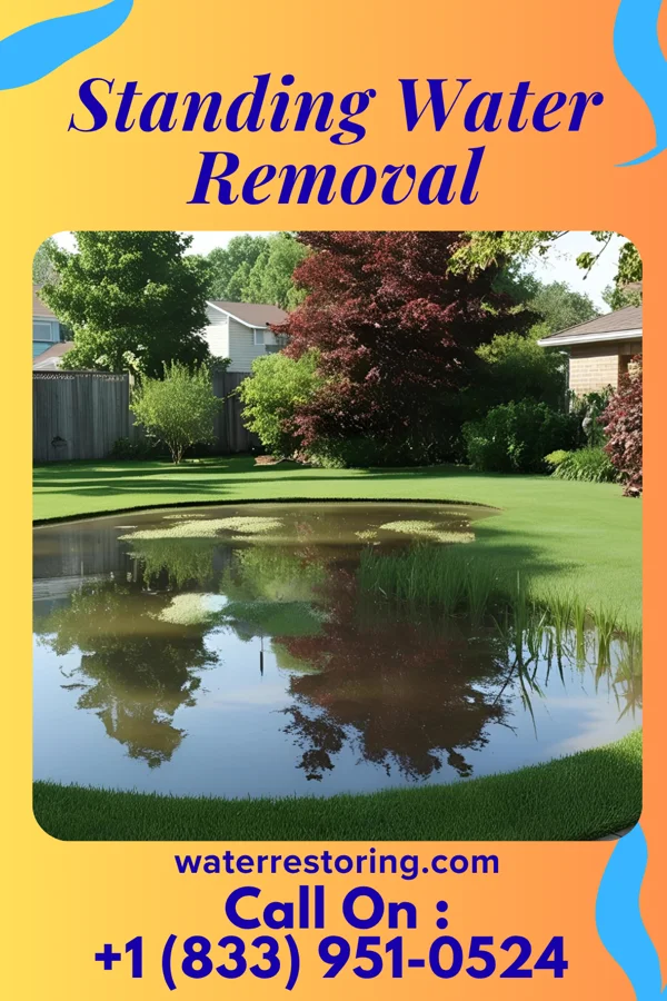 Standing Water Removal in Ridgeside, TN